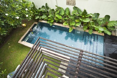 Back Garden with Views to the Terrace, Garden and Pool